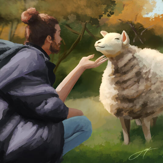 Ed Winters interacting peacefully with a sheep